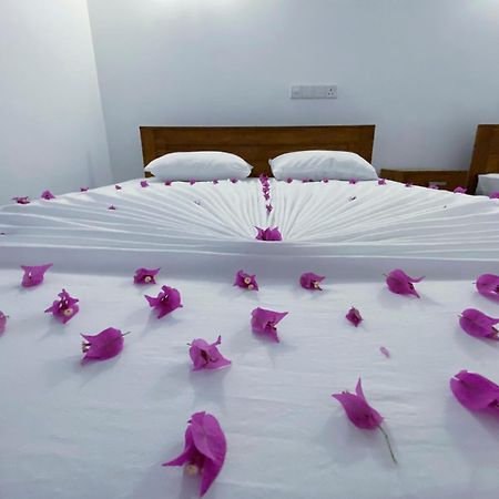 Yala Safari Green Home Stay Tissamaharama Kültér fotó
