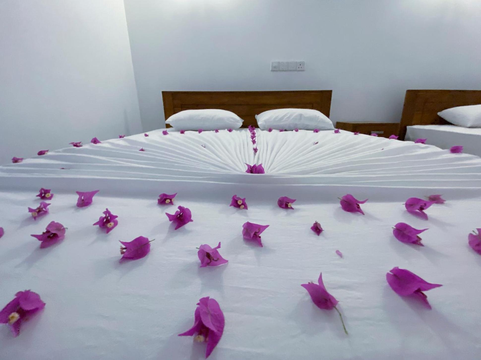 Yala Safari Green Home Stay Tissamaharama Kültér fotó